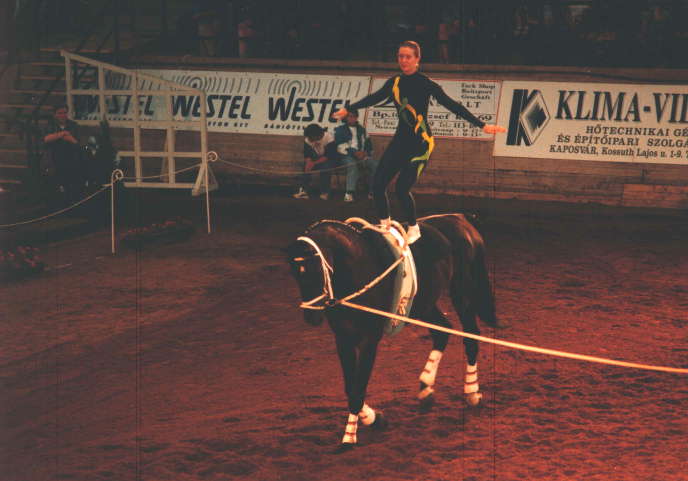 Tristyn Lowe mit Excalibur WM1996 in Kaposvar ⁄ Ungarn