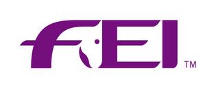 new FEI Logo 2005